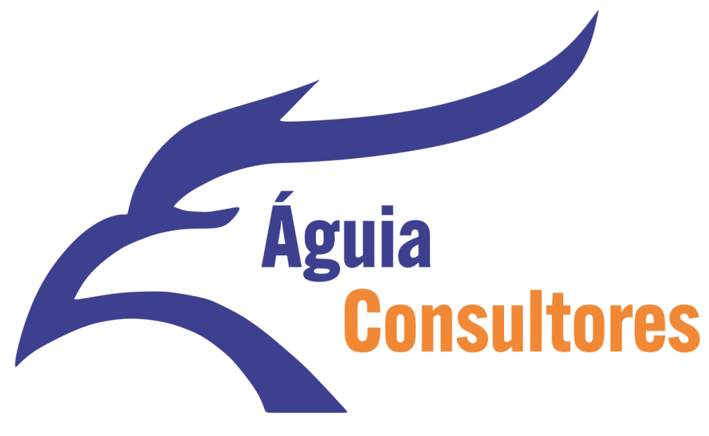 Águia Consultores